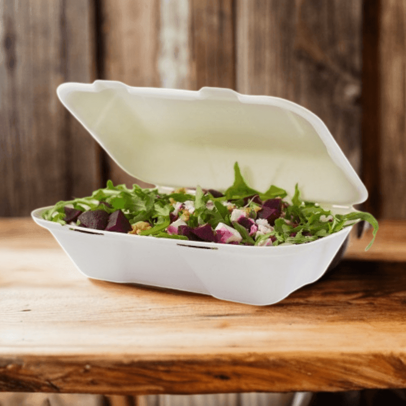 9''x6'' Bagasse Hinged Container - novapkg