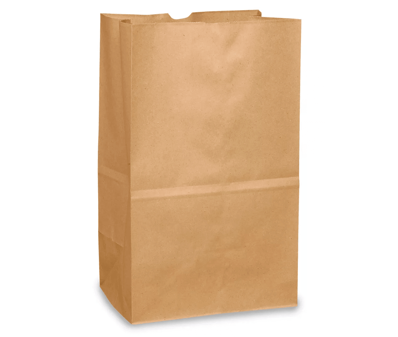 Kraft Bag with no handles - novapkg