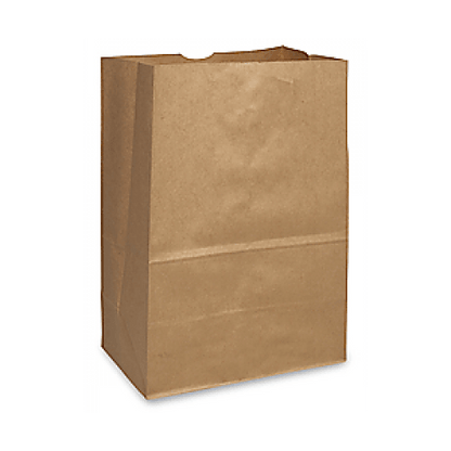 Kraft Bag with no handles - novapkg